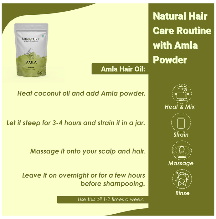 Minature Amla Organic Powder | Grocsy