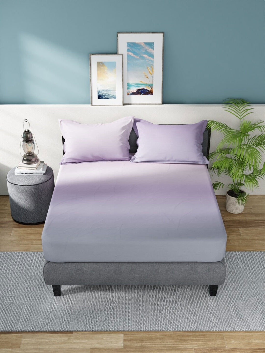Nautica Bradford Purple & Mauve 160 TC Pure Cotton King Bedsheet & 2 Pillow Covers | Grocsy