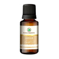 Korus Essential Ginger Essential Oil - Therapeutic Grade | Grocsy