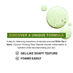 Coccoon Purifying Face Cleanser | Grocsy