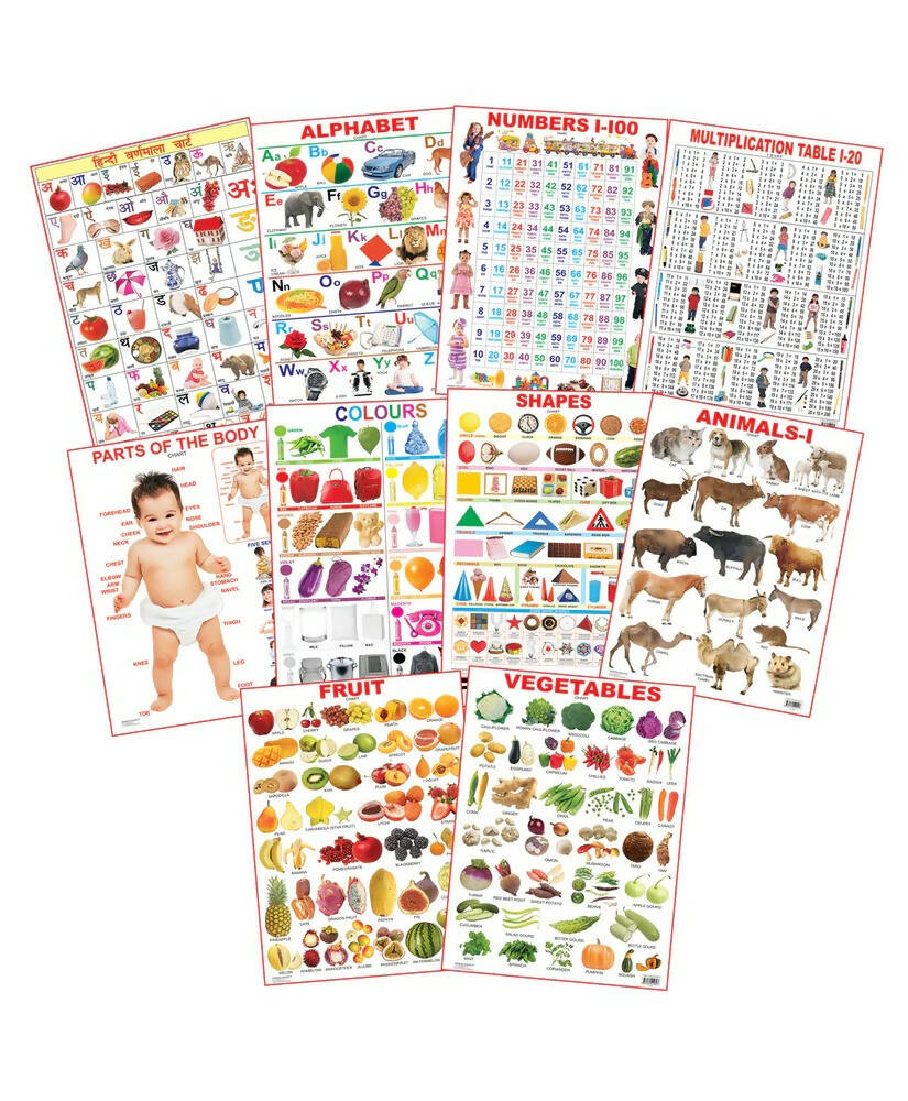 Dreamland Educational Charts - Combo 1 (10 Charts) : Children Early Learning Laminated Chart | Grocsy