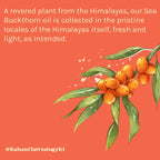 Tattvalogy Himalayan Seabuckthorn Oil - Cold Pressed, Rich in Vitamins E & C, Controls Skin Damage | Grocsy