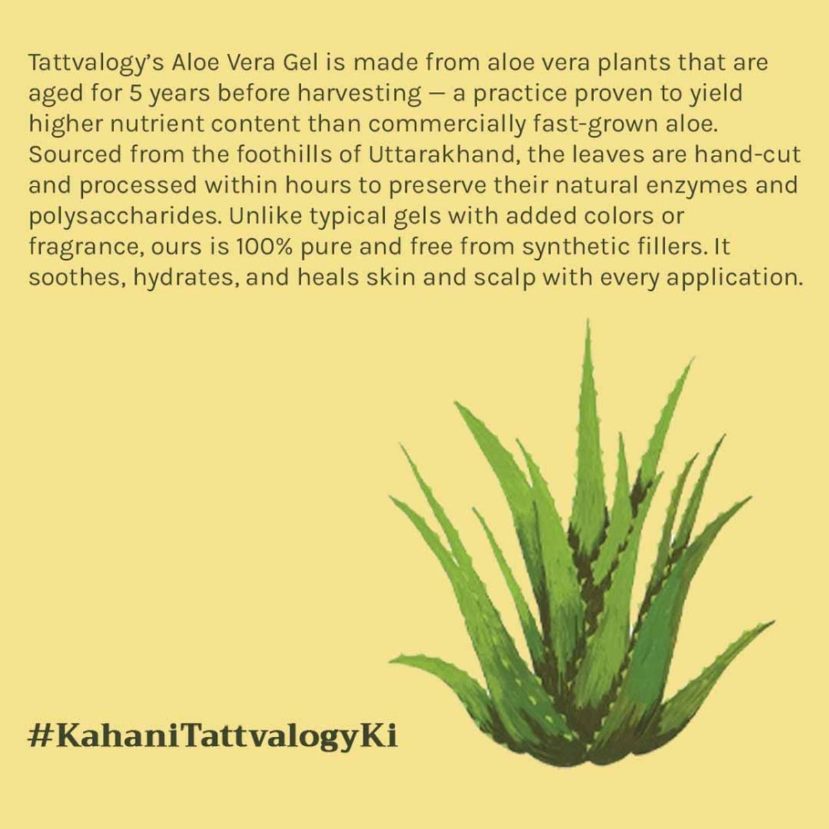Tattvalogy Aloe Vera Gel - 5 Year Aged, No Glycerine, Preservatives, Color or Fragrance, Fights Acne | Grocsy