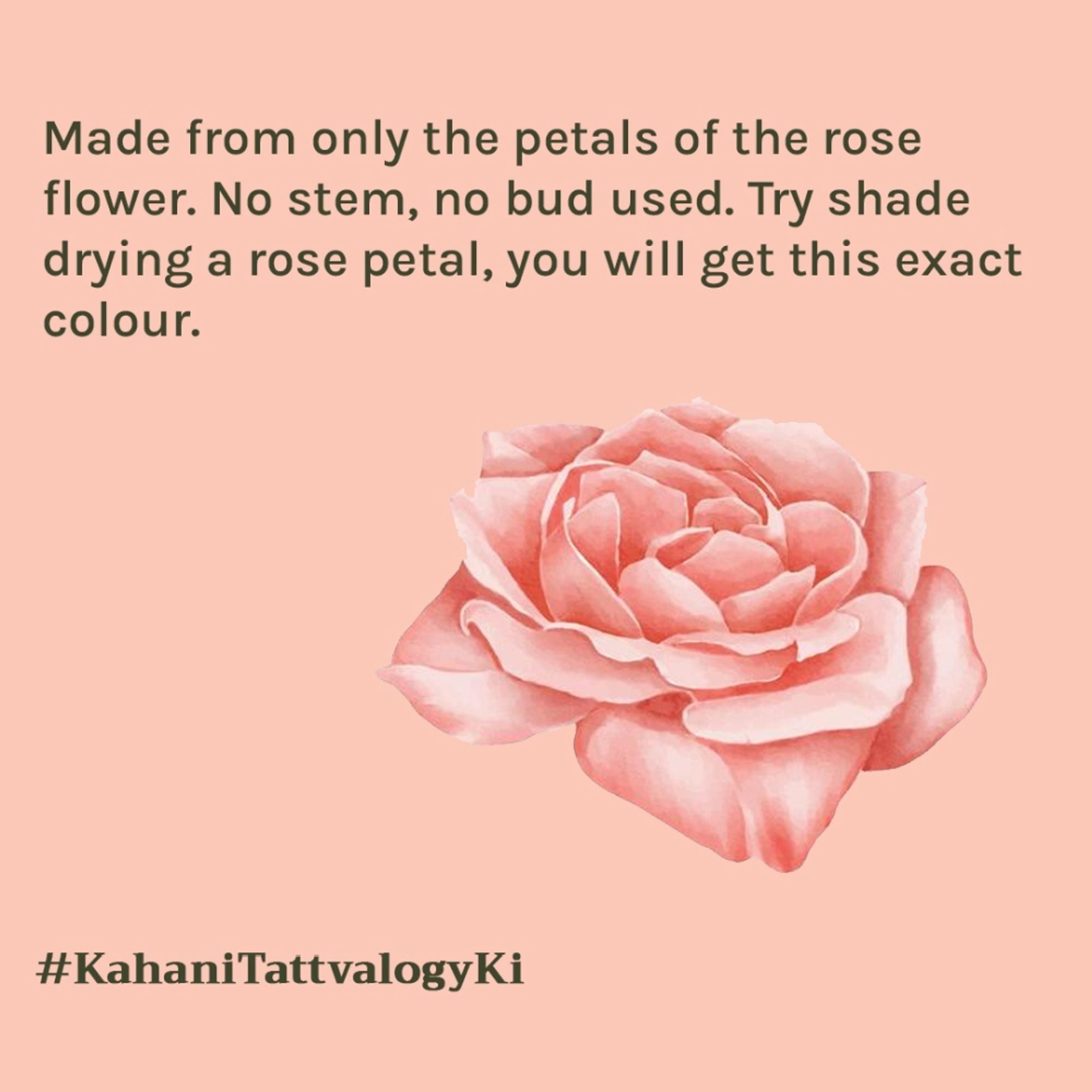Tattvalogy Rose Petal Powder -Shade Dried, Nutrient -Rich for Radiant Skin & Instant Glow Naturally | Grocsy