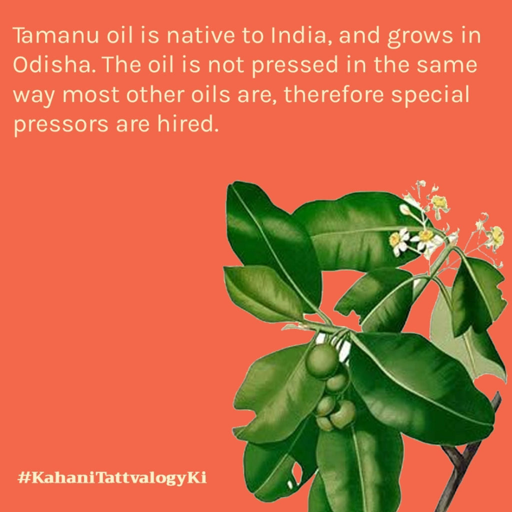 Tattvalogy Tamanu Oil - Cold Pressed, Reduces Scars & Wrinkles, Boosts Collagen, Ideal for Oily Skin | Grocsy