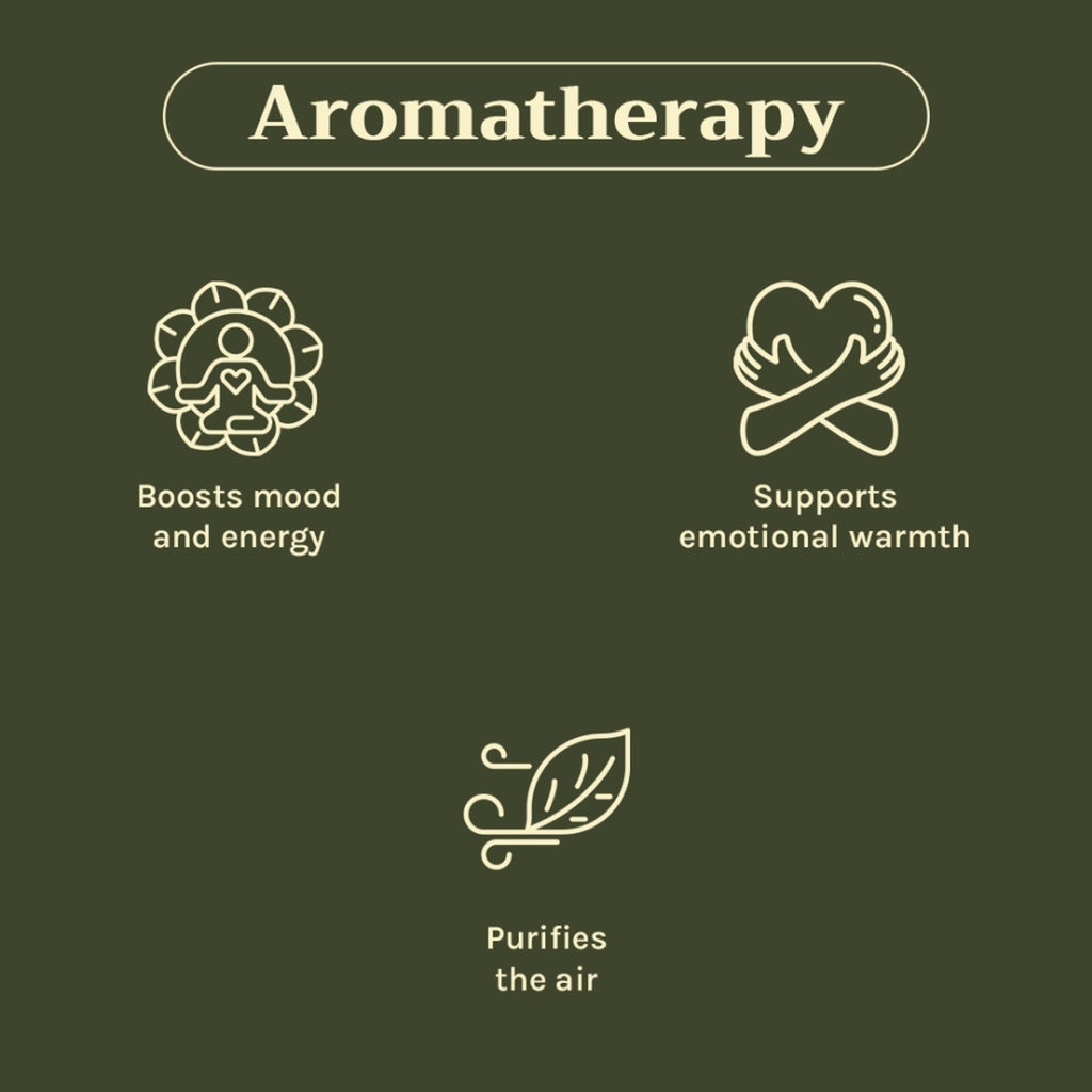 Tattvalogy Cinnamon Bark Essential Oil - Anti - Acne, Reduces Hair Fall, Has a nice spicy aroma | Grocsy