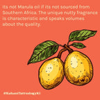 Tattvalogy African Marula Oil - Pure, Hydrates, Reduces Wrinkles & Boosts Radiance for Glowing Skin | Grocsy