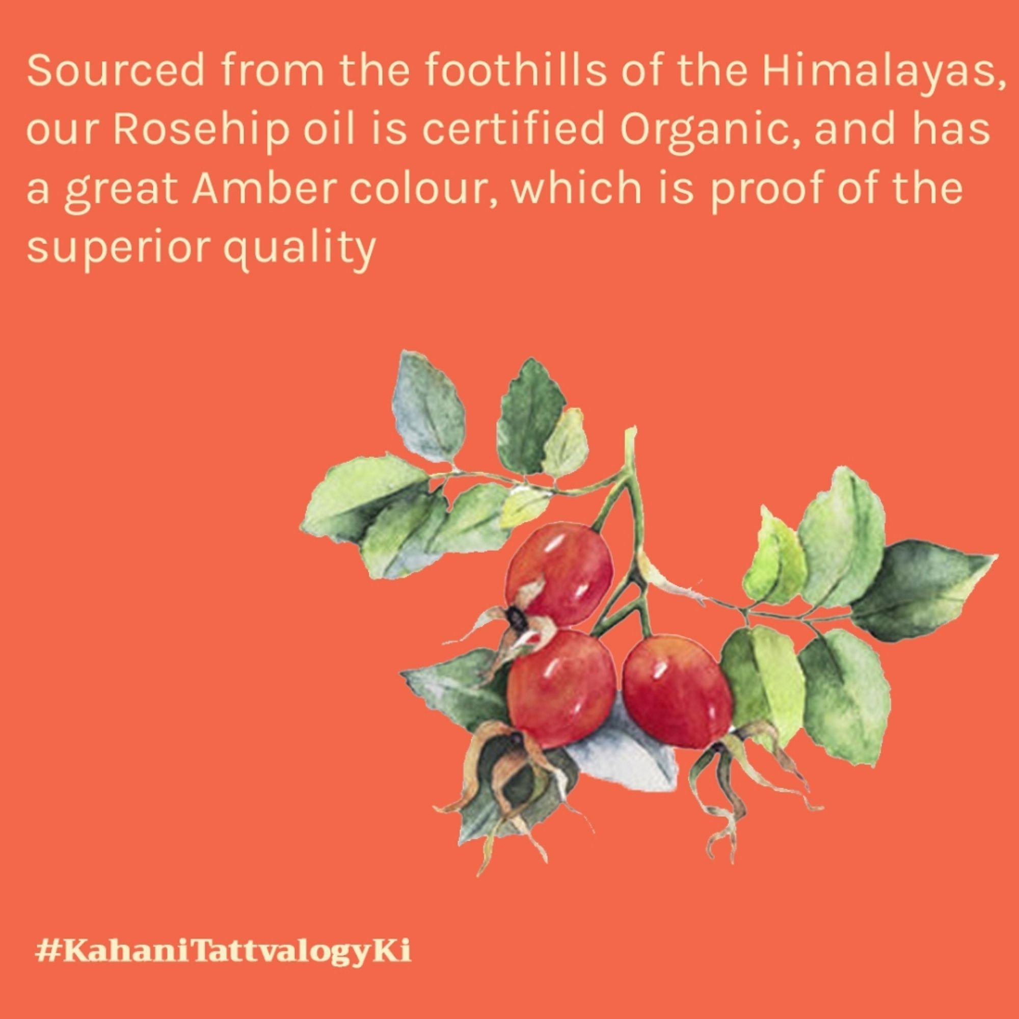 Tattvalogy Raw Rosehip Oil - Vitamin-C Rich, Boosts Collagen, Reduces Hyperpigmentation for Glow | Grocsy