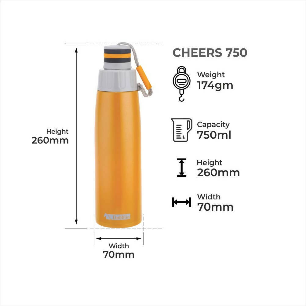 Dubblin Cheers Stainless Steel Sipper Water Bottle | Grocsy