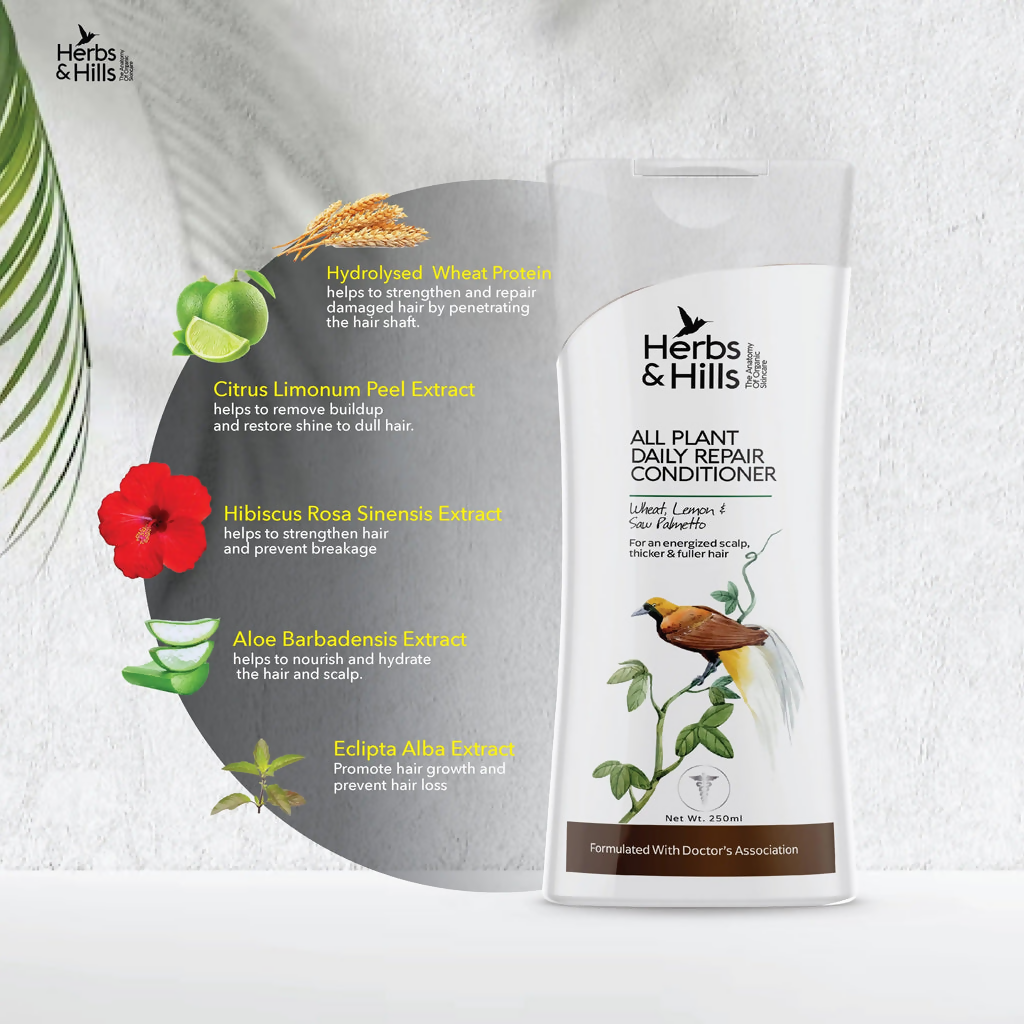 Herbs & Hills All Plant Daily Repair Conditioner | Grocsy