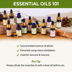 Nykaa Naturals Bestseller Rosemary Essential Oil For Hair Growth & Nourishing Scalp - 100% Natural | Grocsy