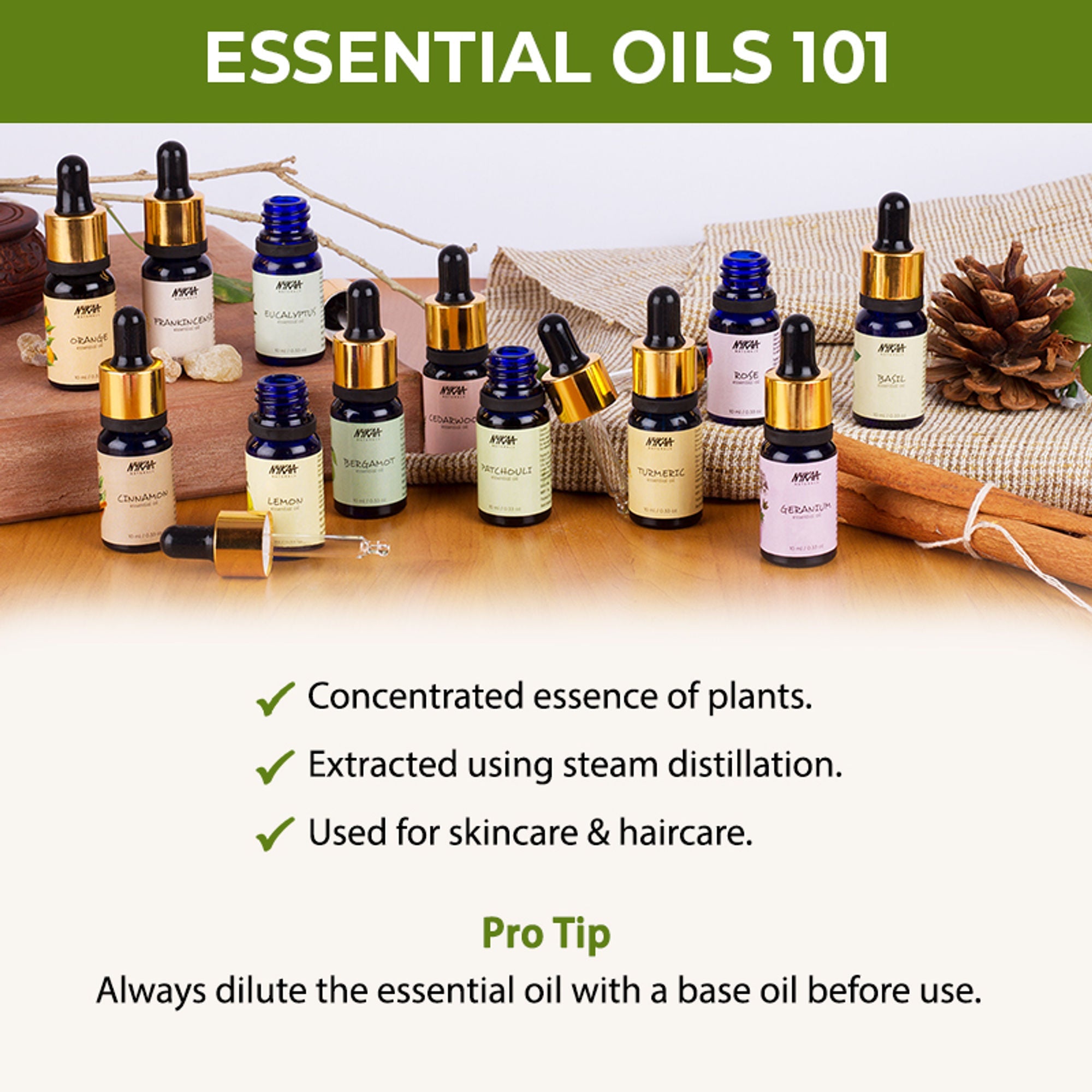 Nykaa Naturals Bestseller Rosemary Essential Oil For Hair Growth & Nourishing Scalp - 100% Natural | Grocsy