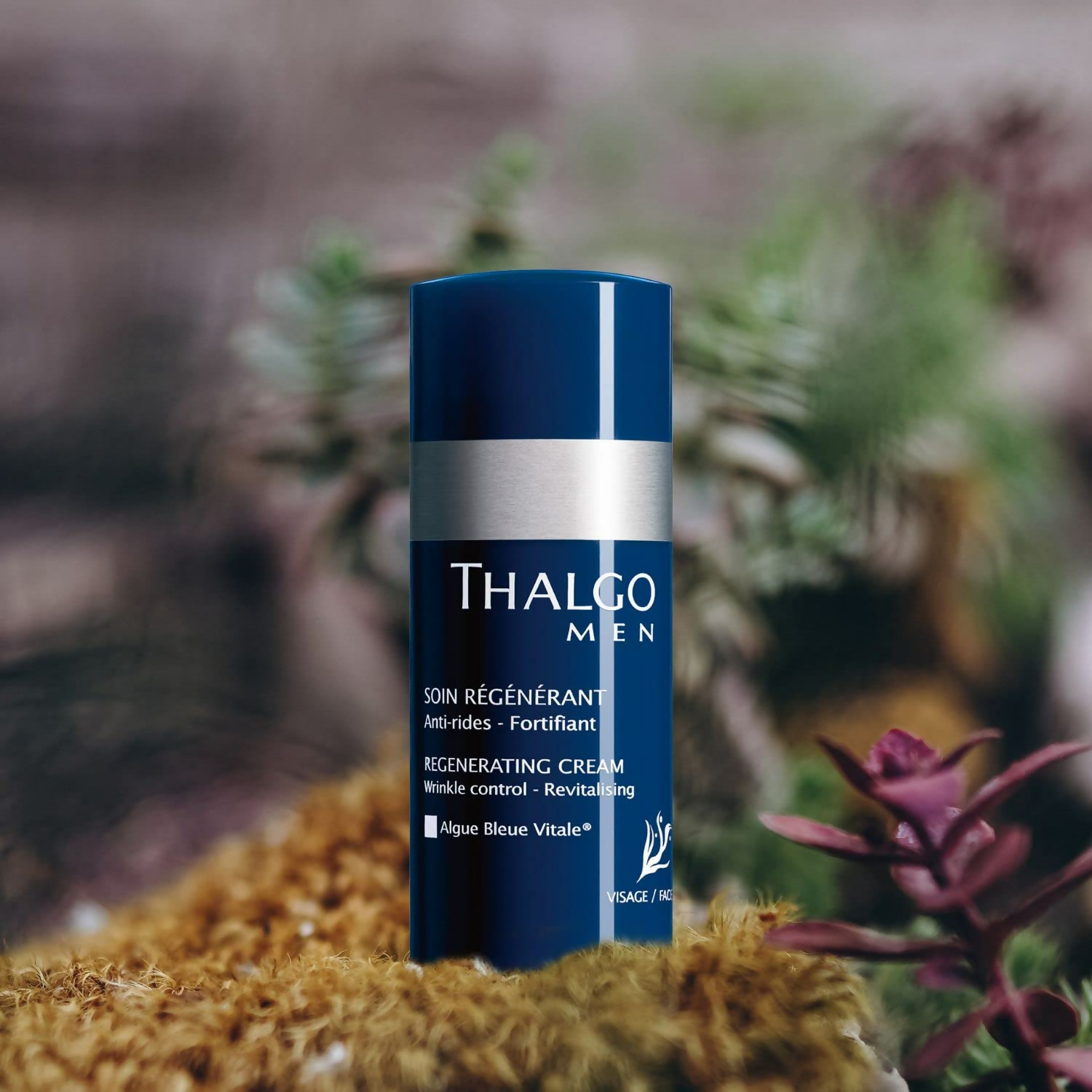 Thalgo Regenerating Cream - Deep Hydration and Anti-Aging Face Cream | Grocsy