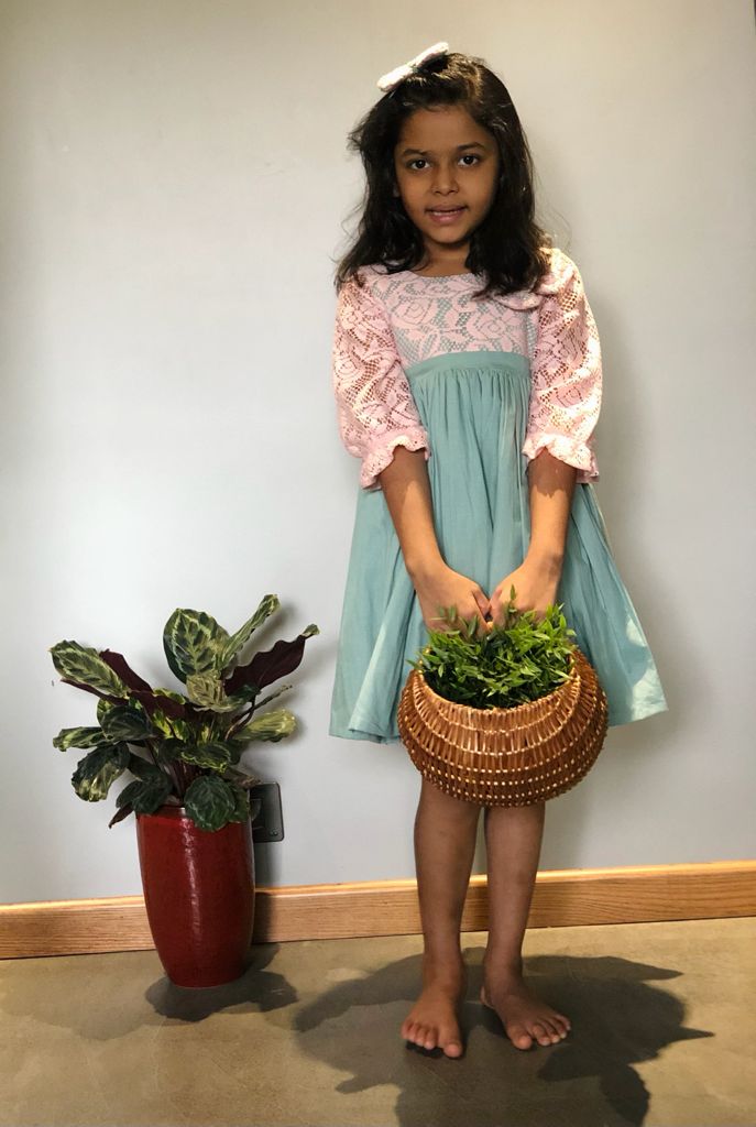 ArthLife Green And Pink Net Dress | Grocsy