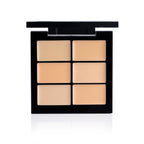 PAC Studio Go Light - Concealer X6 | Grocsy