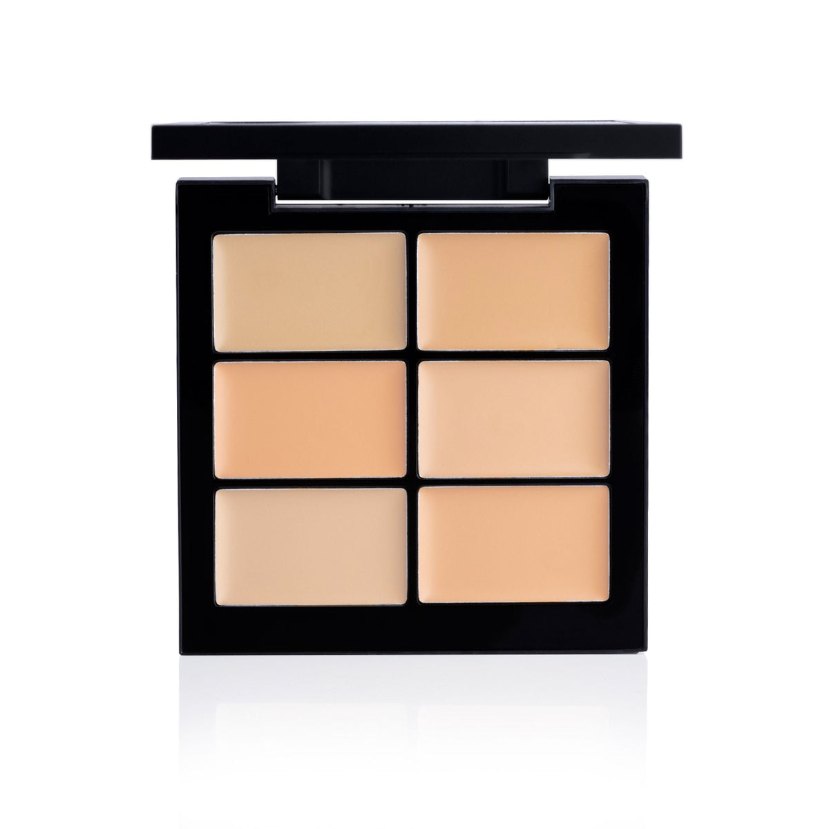PAC Studio Go Light - Concealer X6 | Grocsy