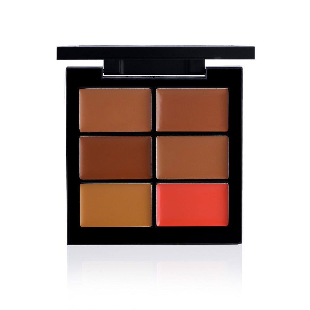 PAC Studio Go Deep - Concealer X6 | Grocsy