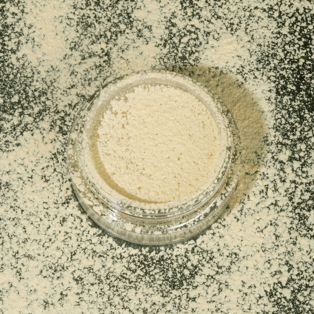 PAC Studio Translucent Powder (Mini) - 04 | Grocsy