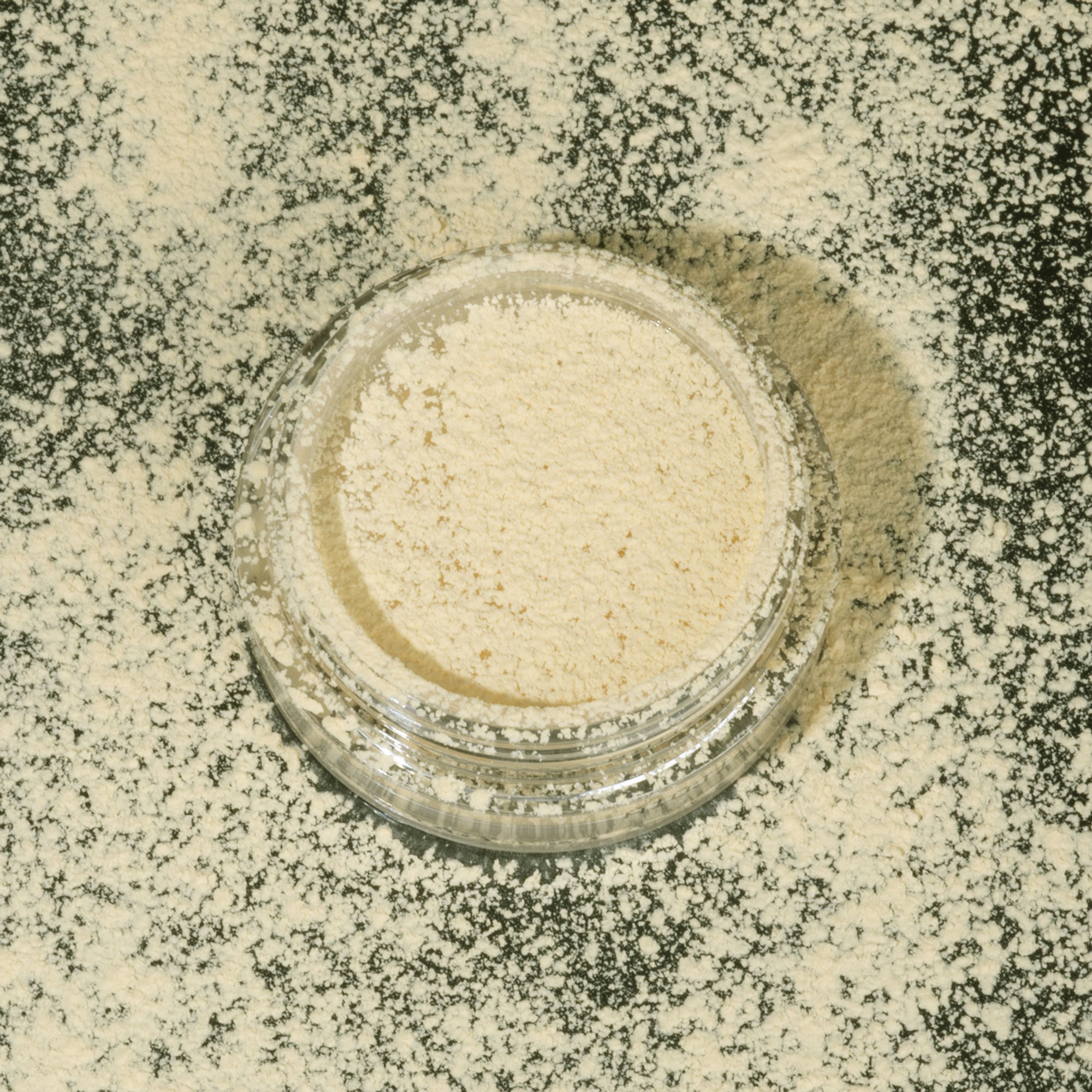 PAC Studio Translucent Powder (Mini) - 04 | Grocsy