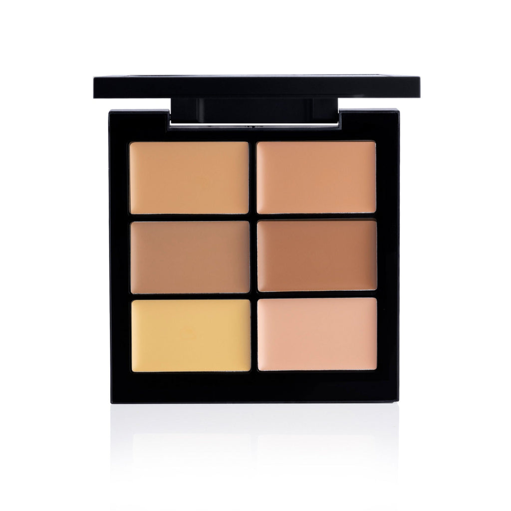 PAC Studio Go Medium - Concealer X6 | Grocsy