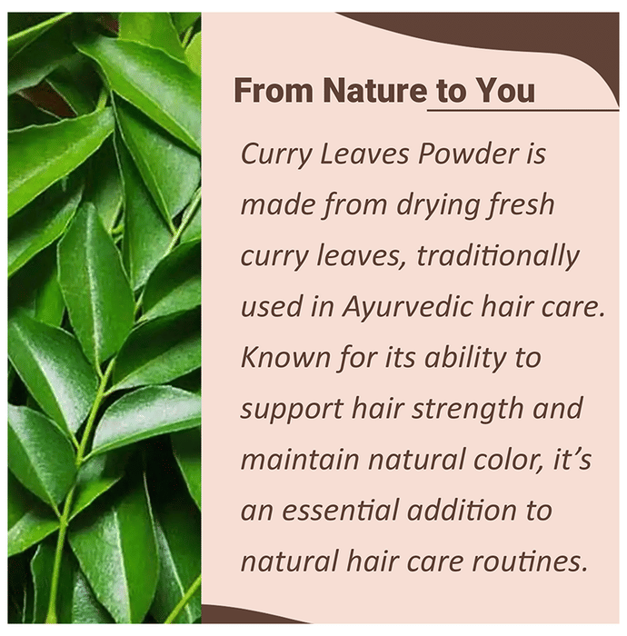 Minature Curry Leaves Powder | Grocsy