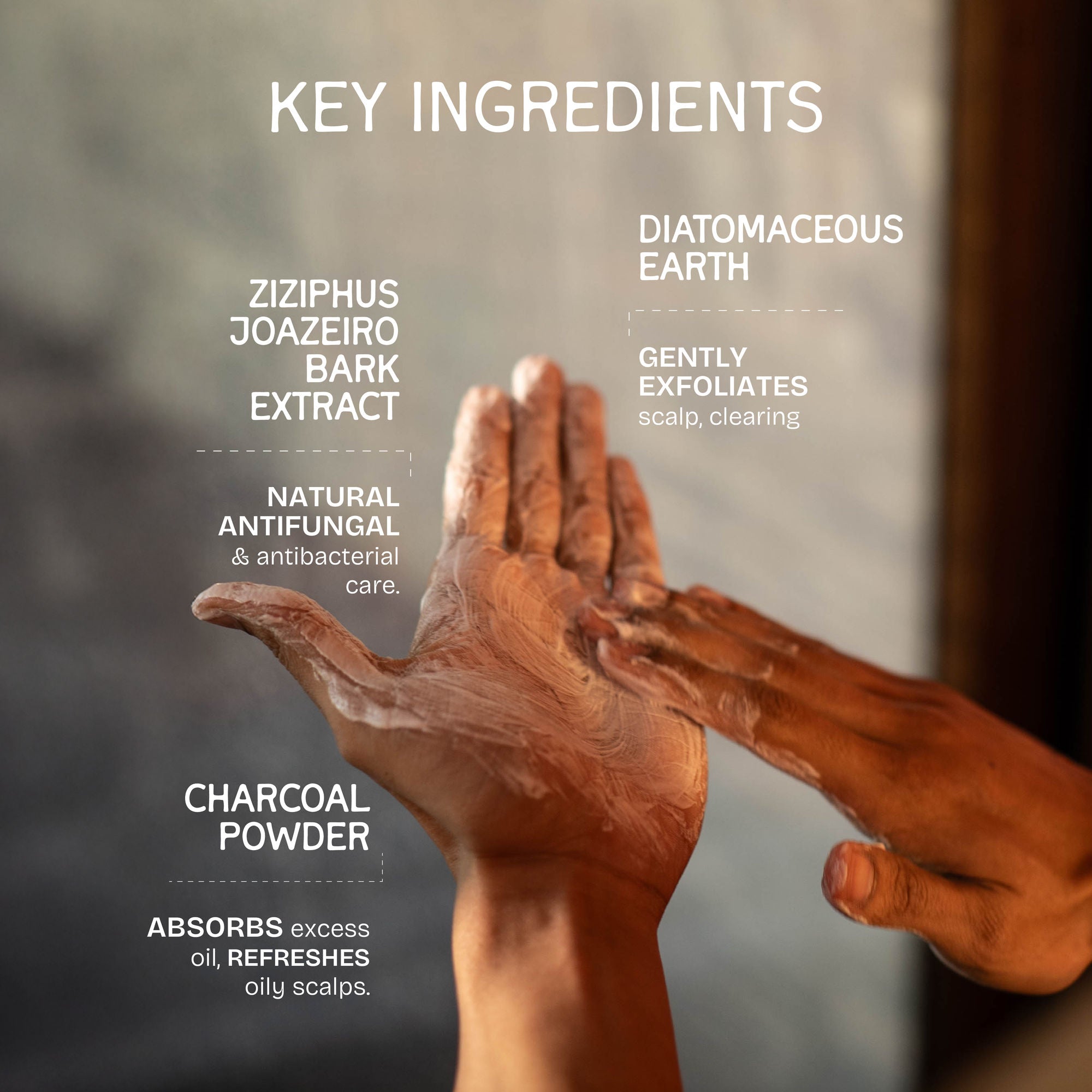 The Bare Bar Flakes Away Exfoliating Shampoo-Clears Scalp Buildup, Soothes & Hydrates Without Grease | Grocsy
