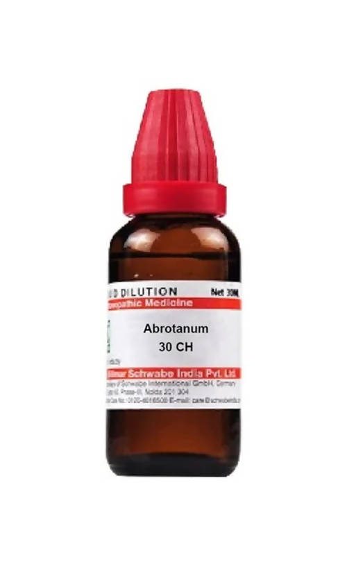 Dr. Willmar Schwabe India Abrotanum Dilution | Grocsy