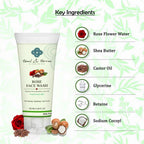 Teal and Terra Rose Face Wash | Grocsy