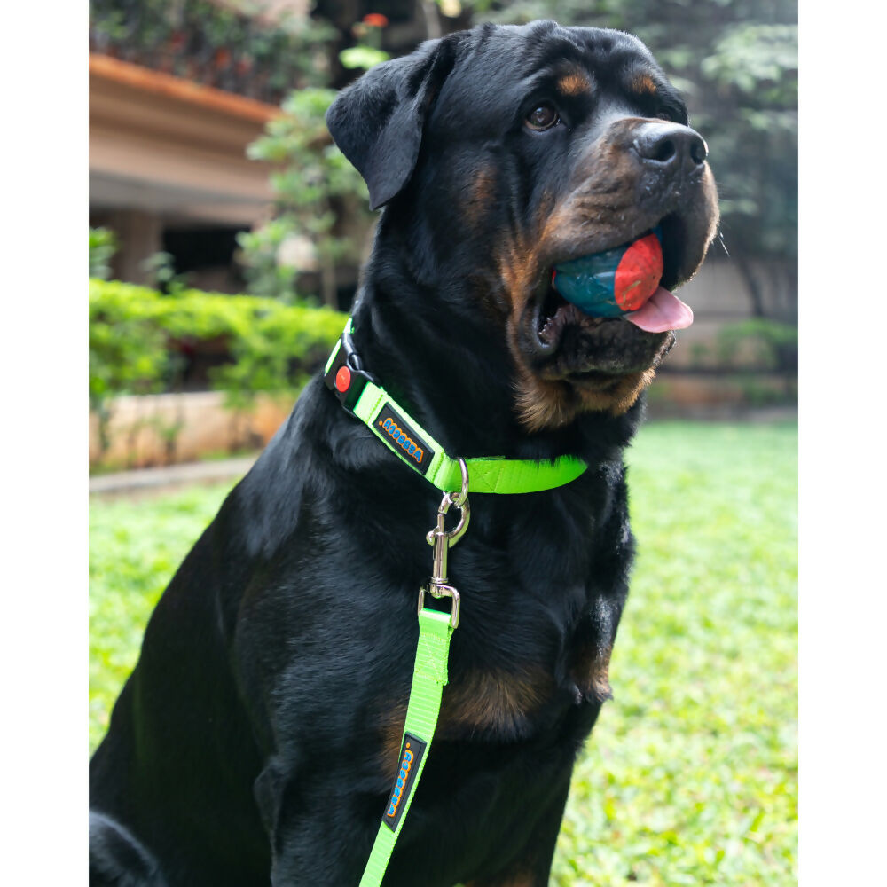 Waggety Dog Leash - Durable Green Polyester, Length - 5Ft, Comfortable Grip, Stylish Pet Leash for Dogs | Grocsy