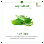 Khadi Natural Aloe vera Hair Cleanser | Grocsy