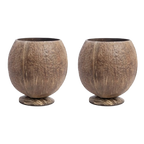 Thenga Handmade Large Coconut Shell Cups | Grocsy