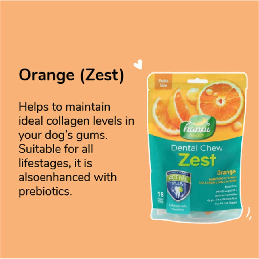 Happi Doggy Dental Chew Zest - Orange Petite | Grocsy