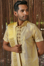 Gold Tissu Kanjivaram Machien Embroidered Pattu Set by Hilo Design | Grocsy
