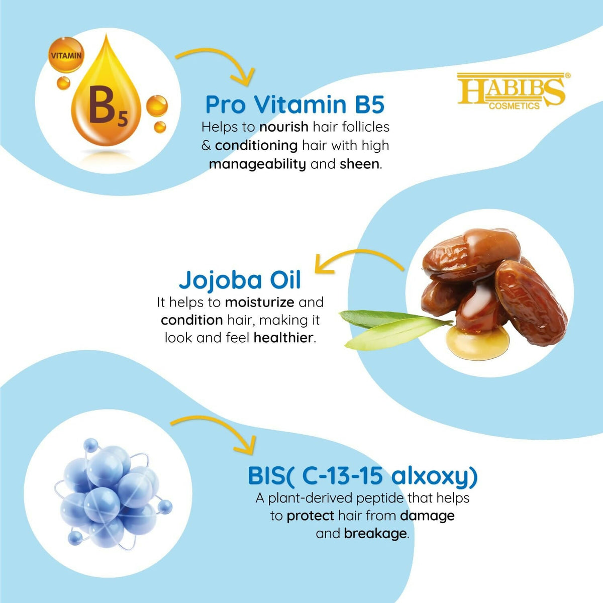 Habibs Professional Hair Shampoo with Jojoba Oil Botanicals For Anti Hair Fall | Grocsy