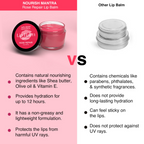 Nourish Mantra Rose Repair Lip Balm With Shea Butter & Vitamin E For Dry, Chapped And Dark Lips | Grocsy