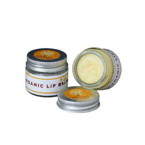 Sintra Naturals Organic Vegan Lip Balm | Grocsy