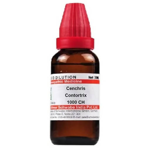 Dr. Willmar Schwabe India Cenchris Contortrix Dilution | Grocsy