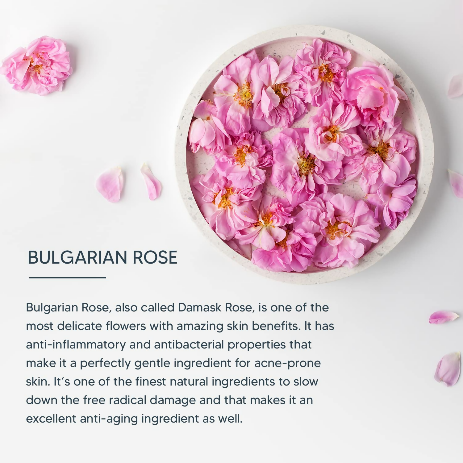 Lotus Professional Dermo Spa Bulgarian Rose Glow and Brightening Enhancing Face Wash | Grocsy