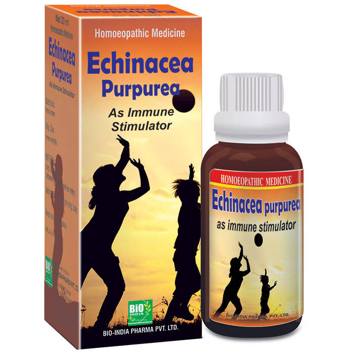 Bio India Homeopathy Echinacea Purpurea Mother Tincture Q | Grocsy