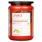 Jiva Ayurveda Karela Jamun Juice & Sugarfree Chyawanprash Combo | Grocsy