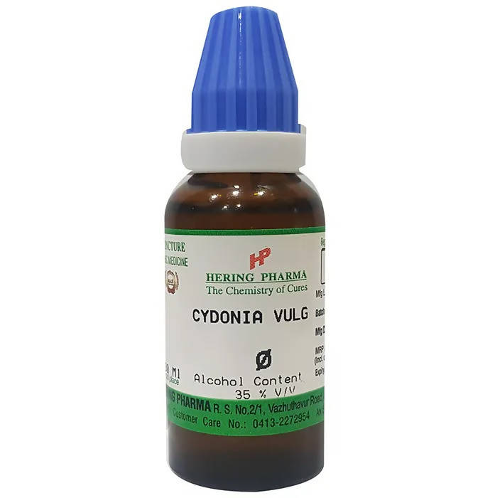 Hering Pharma Cydonia Vulg Mother Tincture Q | Grocsy