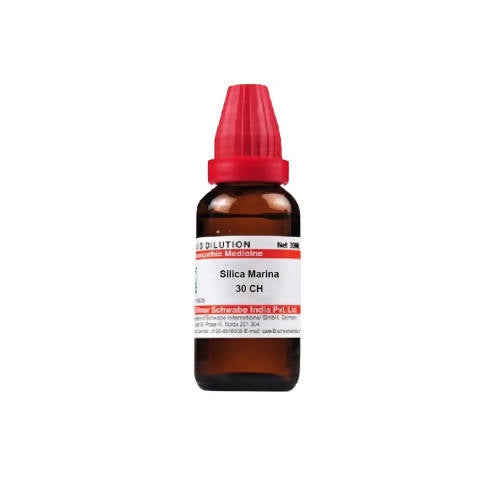 Dr. Willmar Schwabe India Silica Marina Dilution | Grocsy