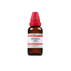 Dr. Willmar Schwabe India Silica Marina Dilution | Grocsy