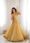 Lorenvalley Fashion Yellow Salsa Crush Plain Lehenga Choli with Koti | Grocsy