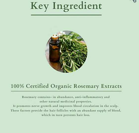 Lotus Organics+ Hair Fall Control Shampoo | Grocsy