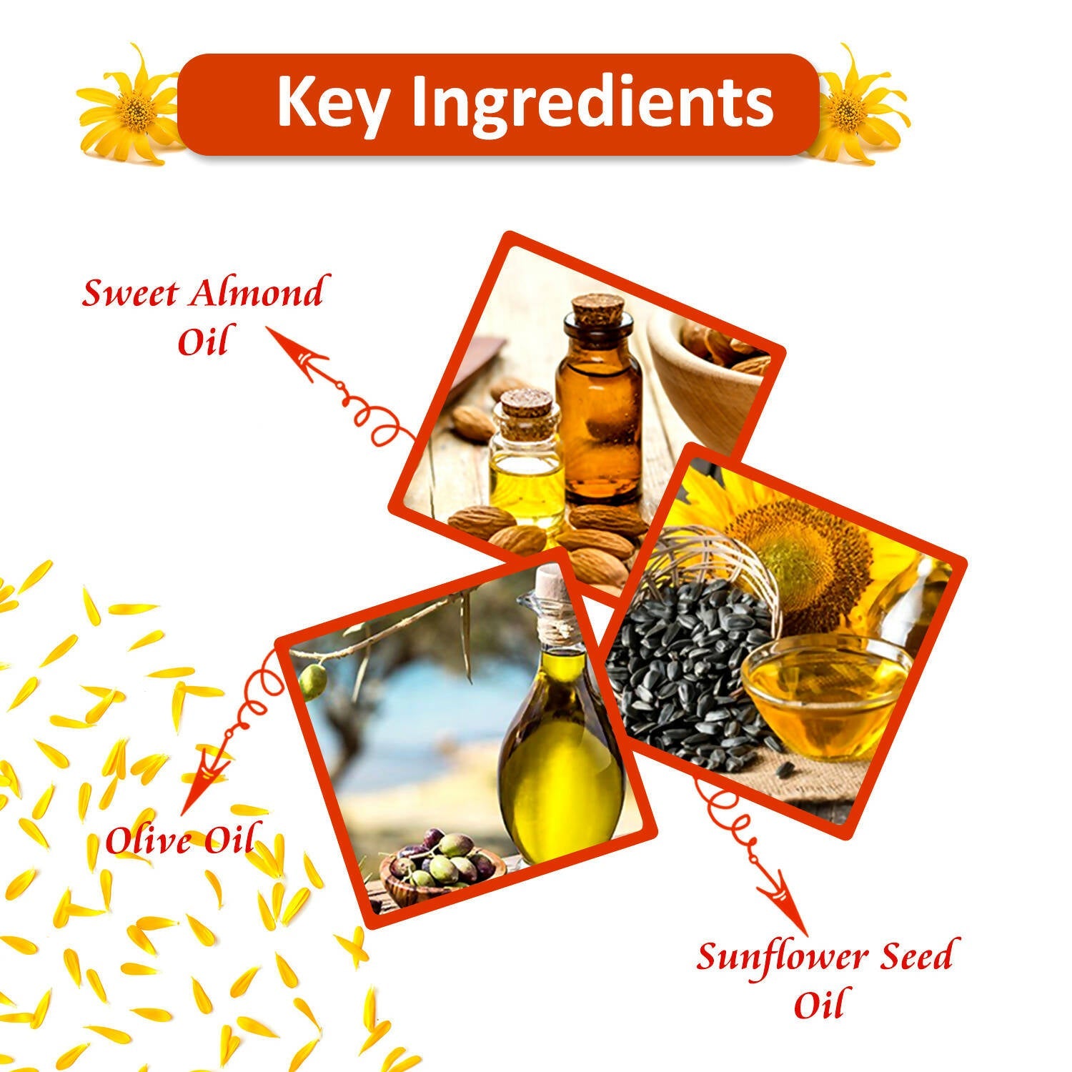 Bjain Homeopathy Omeo Arnica Hair Oil (With Jabrondi) | Grocsy