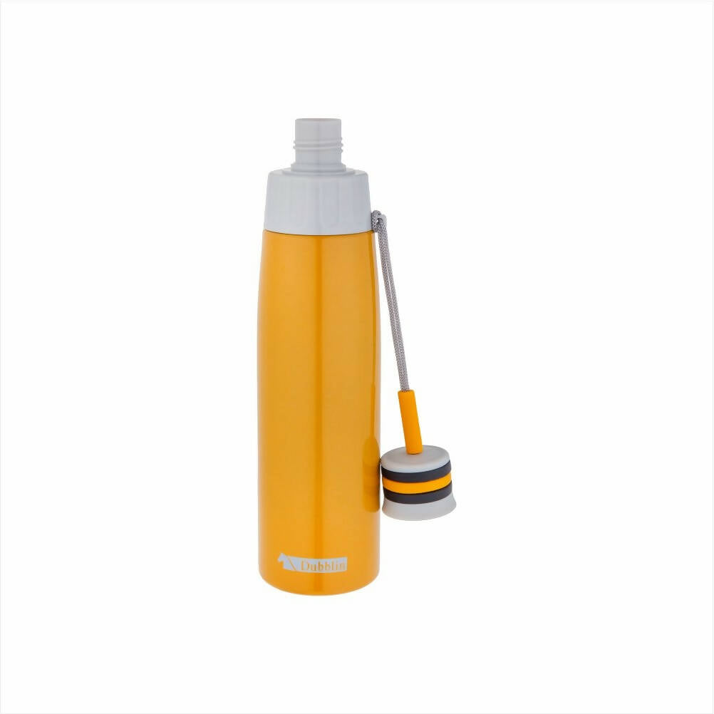 Dubblin Cheers Stainless Steel Sipper Water Bottle | Grocsy