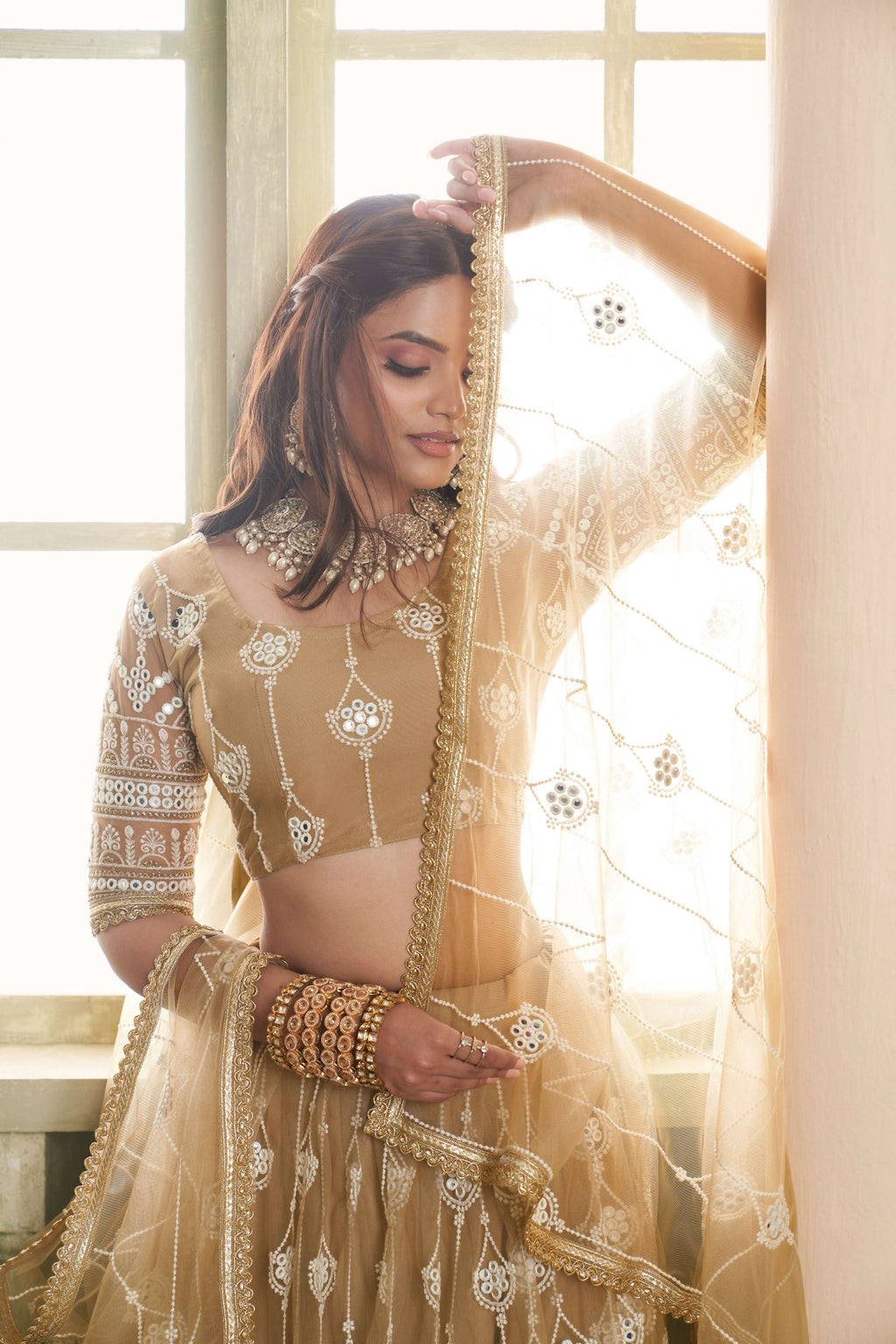 Eilara Classical Khaki Net A - Line Lehenga Choli | Grocsy