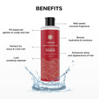 Flawsome Smooth Intentions Moisturizing Shampoo | Grocsy
