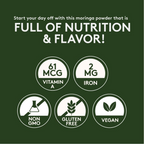 Better Alt Moringa Powder | Grocsy